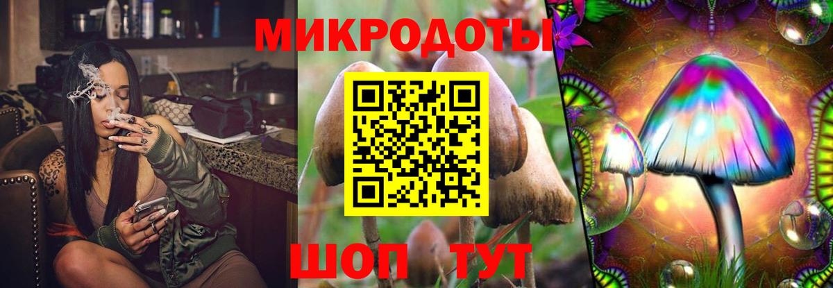 Ногинск  Псилоцибиновые грибы MAGIC MUSHROOMS  Псилоцибиновые грибы Psilocybine cubensis  Вход с VPN 
